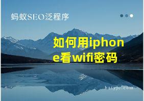 如何用iphone看wifi密码