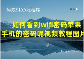 如何看到wifi密码苹果手机的密码呢视频教程图片