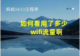 如何看用了多少wifi流量啊