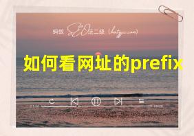 如何看网址的prefix