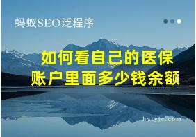 如何看自己的医保账户里面多少钱余额