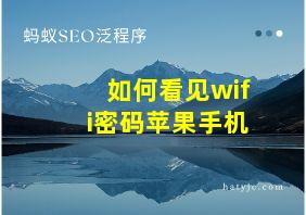 如何看见wifi密码苹果手机