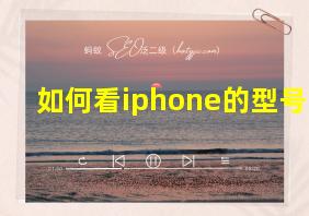 如何看iphone的型号