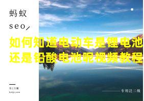 如何知道电动车是锂电池还是铅酸电池呢视频教程