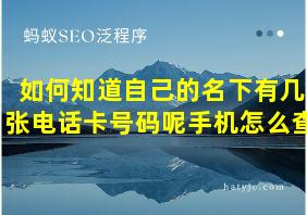 如何知道自己的名下有几张电话卡号码呢手机怎么查