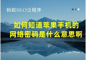 如何知道苹果手机的网络密码是什么意思啊