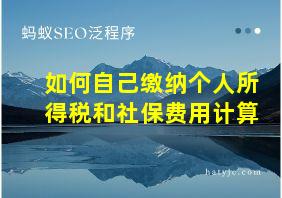 如何自己缴纳个人所得税和社保费用计算