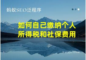 如何自己缴纳个人所得税和社保费用