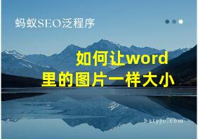 如何让word里的图片一样大小