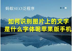 如何识别图片上的文字是什么字体呢苹果版手机