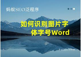 如何识别图片字体字号Word