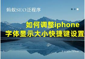 如何调整iphone字体显示大小快捷键设置