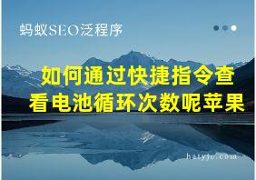 如何通过快捷指令查看电池循环次数呢苹果