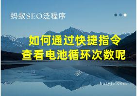 如何通过快捷指令查看电池循环次数呢