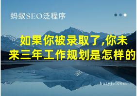 如果你被录取了,你未来三年工作规划是怎样的