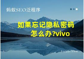 如果忘记隐私密码怎么办?vivo