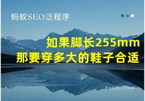 如果脚长255mm那要穿多大的鞋子合适