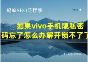 如果vivo手机隐私密码忘了怎么办解开锁不了了