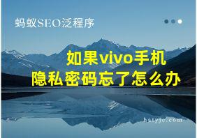 如果vivo手机隐私密码忘了怎么办