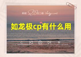 如龙极cp有什么用