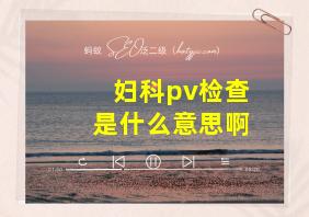 妇科pv检查是什么意思啊