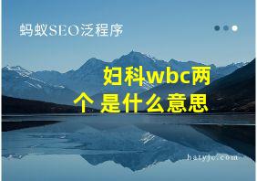 妇科wbc两个+是什么意思