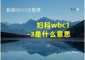 妇科wbc1-3是什么意思