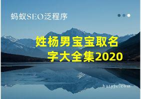 姓杨男宝宝取名字大全集2020