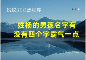 姓杨的男孩名字有没有四个字霸气一点