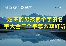 姓王的男孩两个字的名字大全三个字怎么取好听