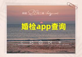 婚检app查询