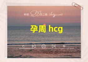 孕周 hcg