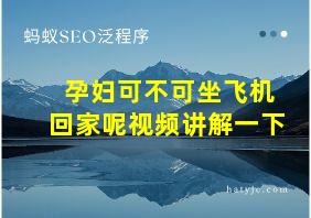 孕妇可不可坐飞机回家呢视频讲解一下