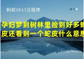 孕妇梦到树林里捡到好多蝉皮还看到一个蛇皮什么意思