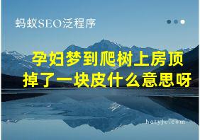 孕妇梦到爬树上房顶掉了一块皮什么意思呀