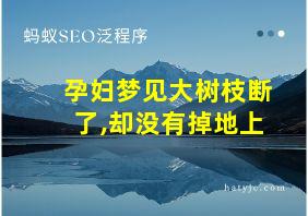 孕妇梦见大树枝断了,却没有掉地上