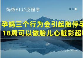 孕妈三个行为会引起胎停孕18周可以做胎儿心脏彩超吗