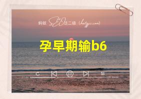 孕早期输b6