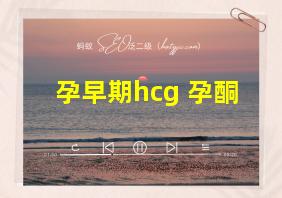 孕早期hcg 孕酮