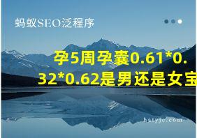 孕5周孕囊0.61*0.32*0.62是男还是女宝