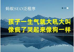 孩子一生气就大吼大叫像疯了哭起来像狗一样