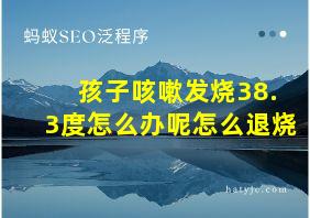 孩子咳嗽发烧38.3度怎么办呢怎么退烧