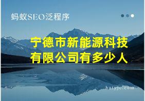 宁德市新能源科技有限公司有多少人