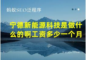 宁德新能源科技是做什么的啊工资多少一个月