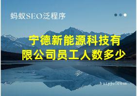 宁德新能源科技有限公司员工人数多少