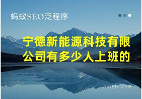 宁德新能源科技有限公司有多少人上班的