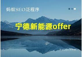 宁德新能源offer