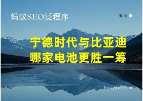 宁德时代与比亚迪哪家电池更胜一筹