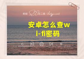 安卓怎么查wi-fi密码