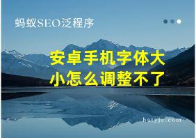 安卓手机字体大小怎么调整不了